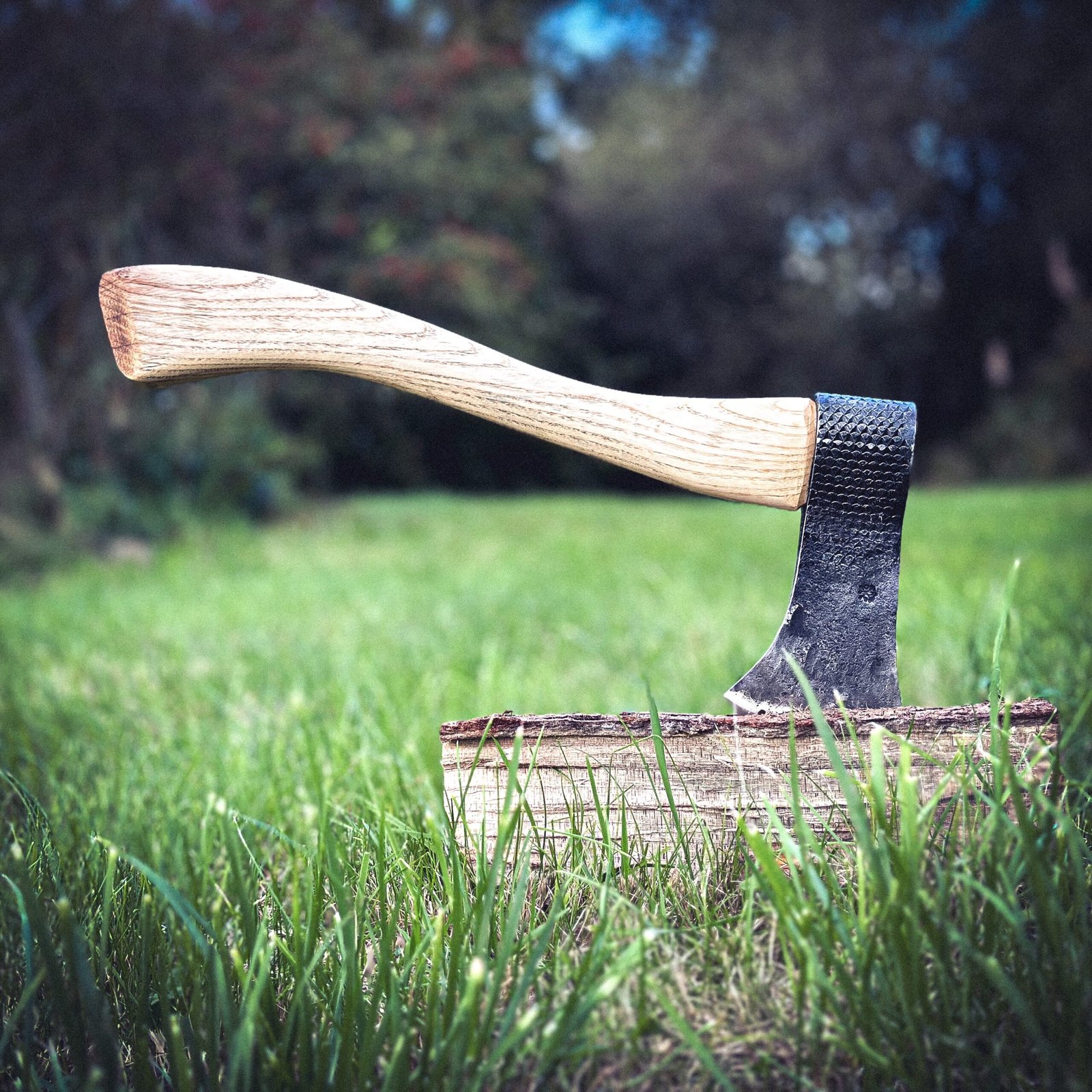 Hand Forged Hoof Rasp Axe